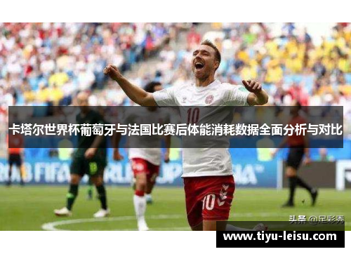 卡塔尔世界杯葡萄牙与法国比赛后体能消耗数据全面分析与对比