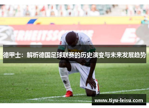 德甲士：解析德国足球联赛的历史演变与未来发展趋势