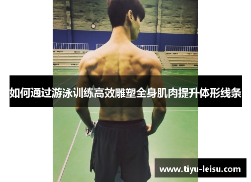 如何通过游泳训练高效雕塑全身肌肉提升体形线条
