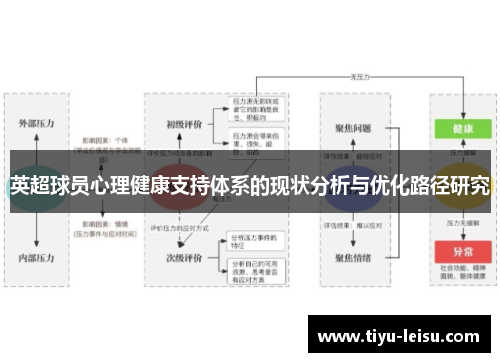 英超球员心理健康支持体系的现状分析与优化路径研究