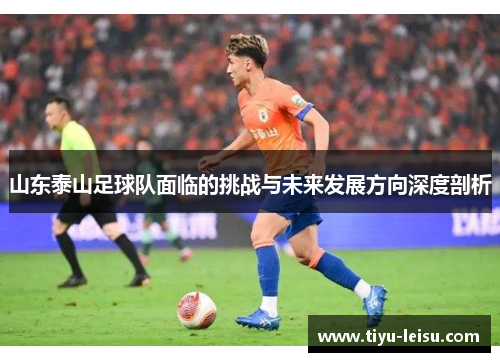 山东泰山足球队面临的挑战与未来发展方向深度剖析