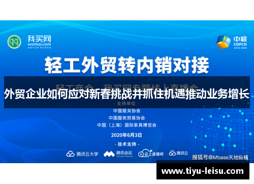 外贸企业如何应对新春挑战并抓住机遇推动业务增长