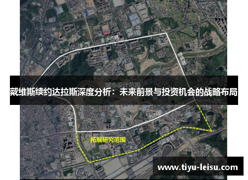 戴维斯续约达拉斯深度分析：未来前景与投资机会的战略布局