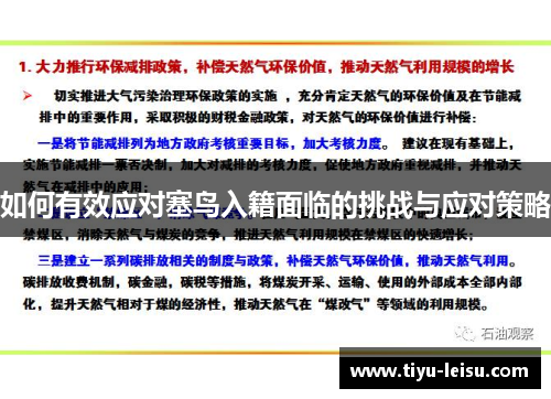 如何有效应对塞鸟入籍面临的挑战与应对策略